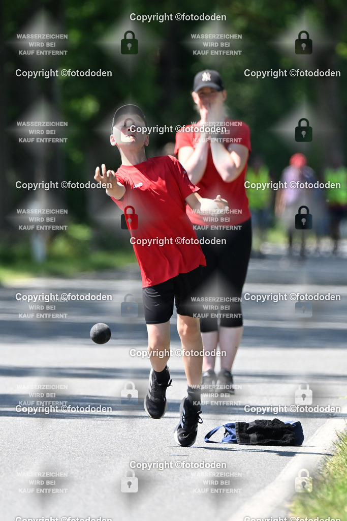 DSC_0293b | Jarno Wittje / Bredhorn / mJu E Holz