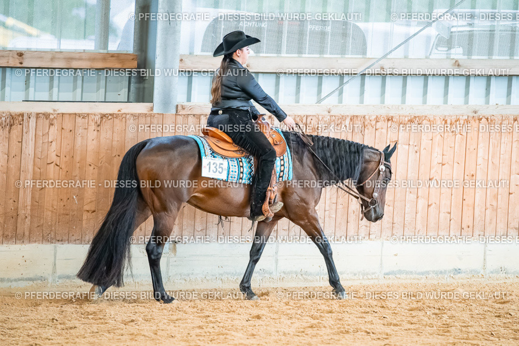 DSC00560 | Pferdegrafie