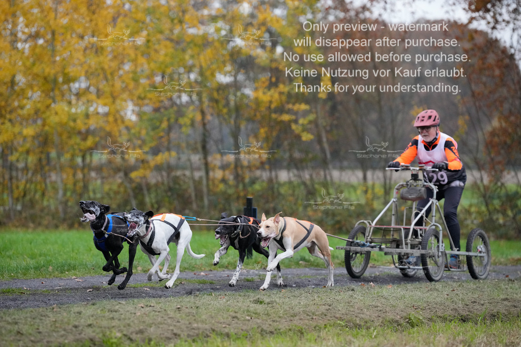 Visbeck_Sa_D4_6-26 | stephaniefillaphotographie - Realisiert mit Pictrs.com