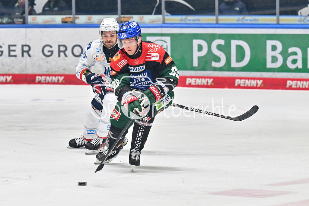 Augsburger Panther - Adler Mannheim | im Duell Mark ZENGERLE (Augsburger Panther #89) mit einem Mannheimer / Zweikampf / DEL: Augsburger Panther - Adler Mannheim, Curt Frenzel Stadion am 16.02.2025