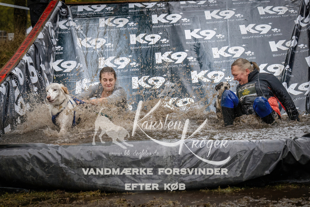 1204_ZZ94292 | kk-dogfotos