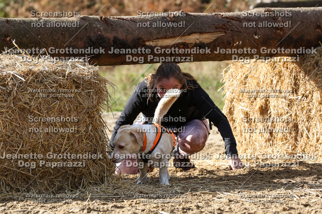 Dog Paparazzi - Strongdog 10-25-5503 | Dog Paparazzi Jeanette Grottendiek Fotografie & Videografie - Realisiert mit Pictrs.com