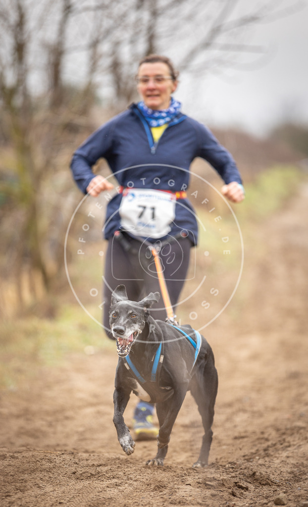 DV3A9648 | Hundefotografie, Tierfotograf, Pfotenfotografie, Fotoshooting Hund, Hunde Portrait, Hundesport, Hundeportraits, Heideshooting, Hunde, Sportfotograf, Hundefotograf, Turnierhundsport, THS,  - Realisiert mit Pictrs.com