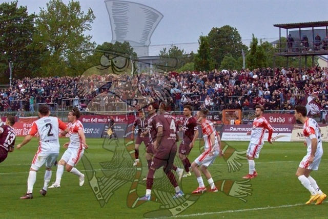 BFC Dynamo vs. Hallescher FC 035 | mythos-online-redaktion