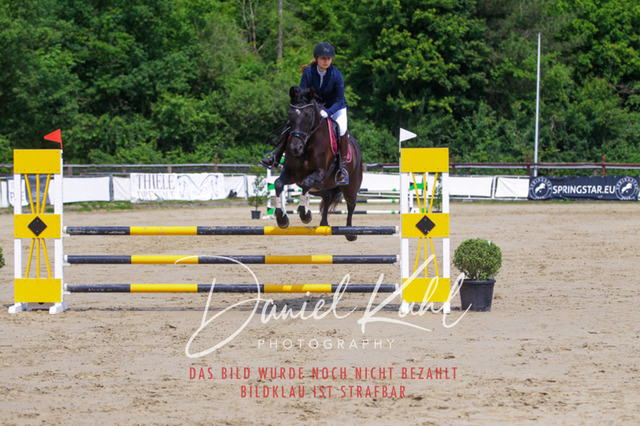 DKP41456 | Turniersportfotografie; Pferdefotografie; Dressurfotografie