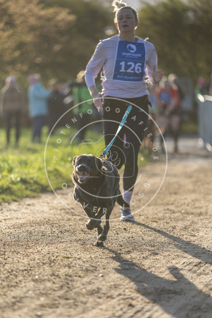 Pfotenfotografie.de_DV3A2910 | Hundefotografie, Tierfotograf, Pfotenfotografie, Fotoshooting Hund, Hunde Portrait, Hundesport, Hundeportraits, Heideshooting, Hunde, Sportfotograf, Hundefotograf, Turnierhundsport, THS, canicross - Realisiert mit Pictrs.com