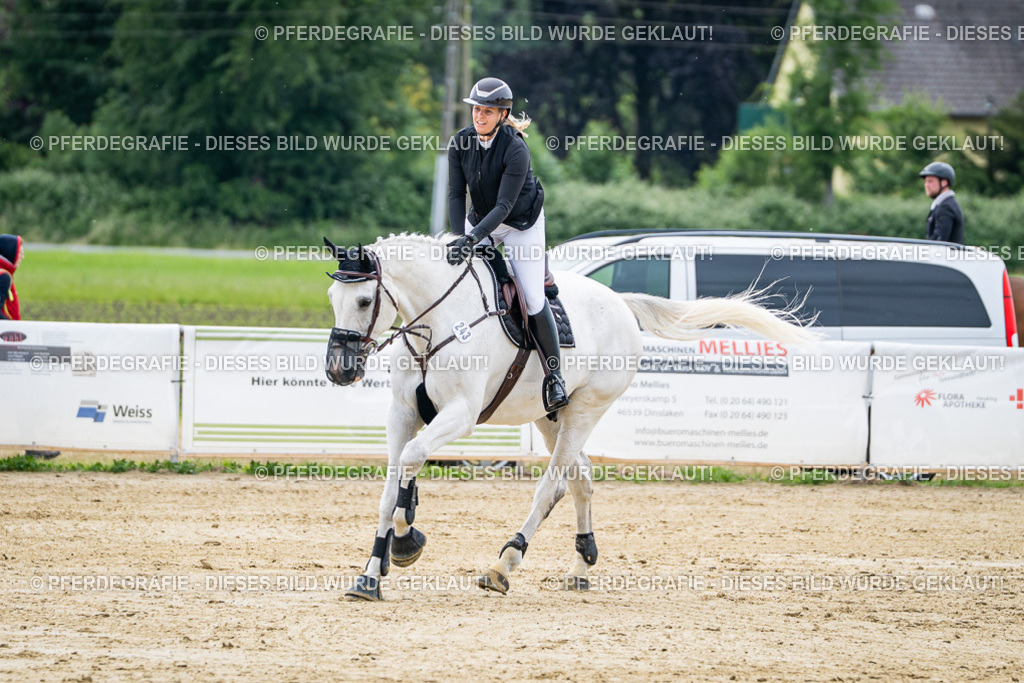 DSC05034 | Pferdegrafie