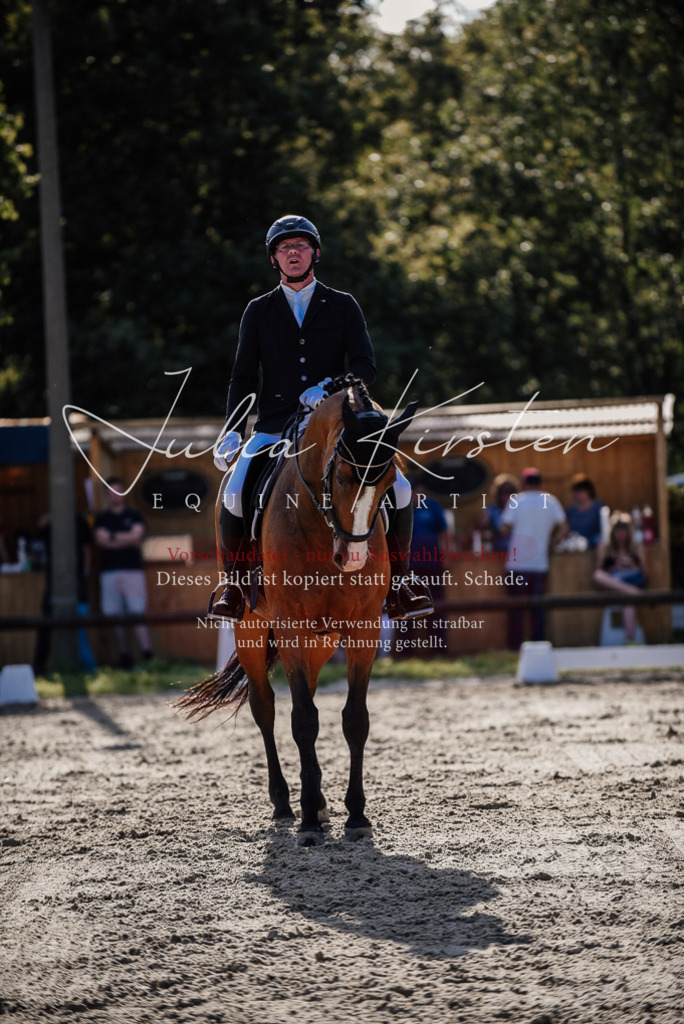 DSC_0589 | Pferde- und Turnierfotografie in Westsachsen. Pferdeportraits, Auftragszeichnungen und intuitive Kunst.