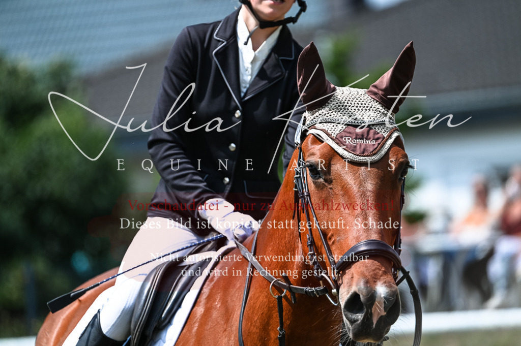 DSC_9579 | Pferde- und Turnierfotografie in Westsachsen. Pferdeportraits, Auftragszeichnungen und intuitive Kunst.