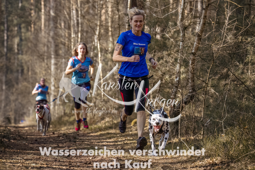 1331_ZZ94605-Bearbeitet | kk-dogfotos