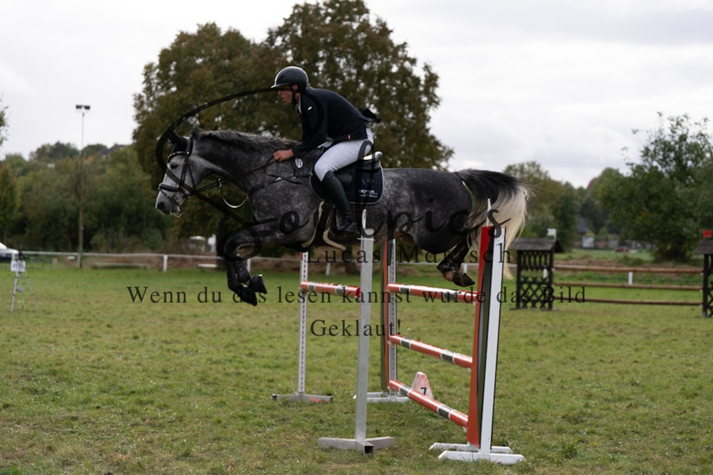 A7V07524 | Pferdefotograf