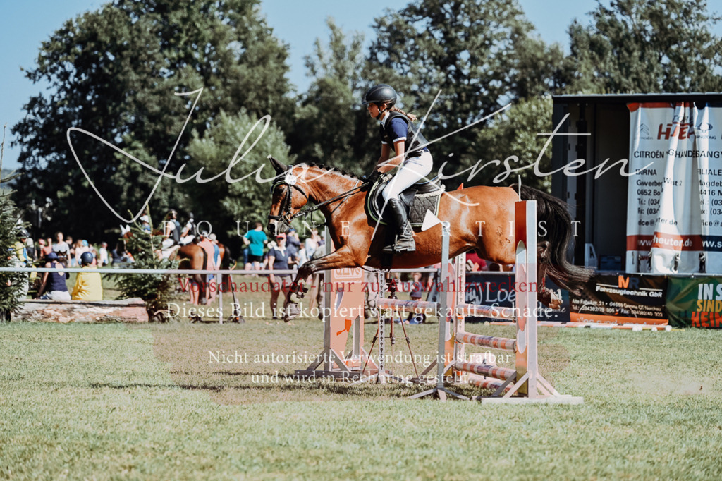 DSC_6738 | Pferde- und Turnierfotografie in Westsachsen. Pferdeportraits, Auftragszeichnungen und intuitive Kunst.