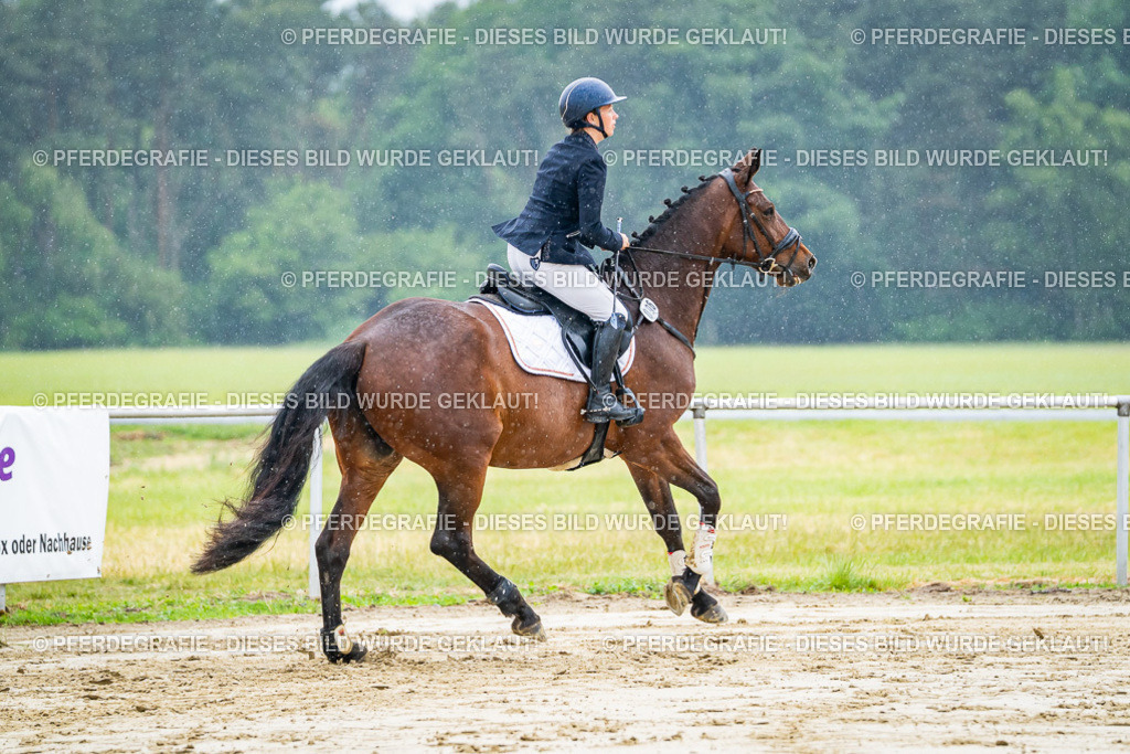 DSC02587 | Pferdegrafie