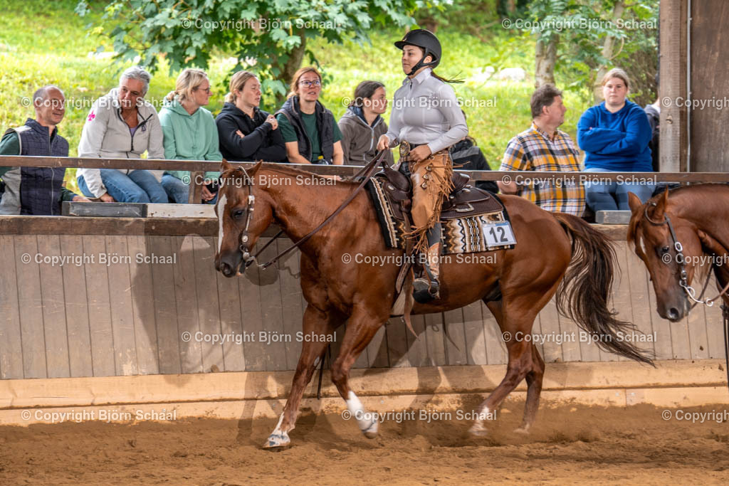 LMS03234 | BS-foto