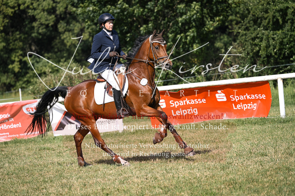 DSC_1248 | Pferde- und Turnierfotografie in Westsachsen. Pferdeportraits, Auftragszeichnungen und intuitive Kunst.