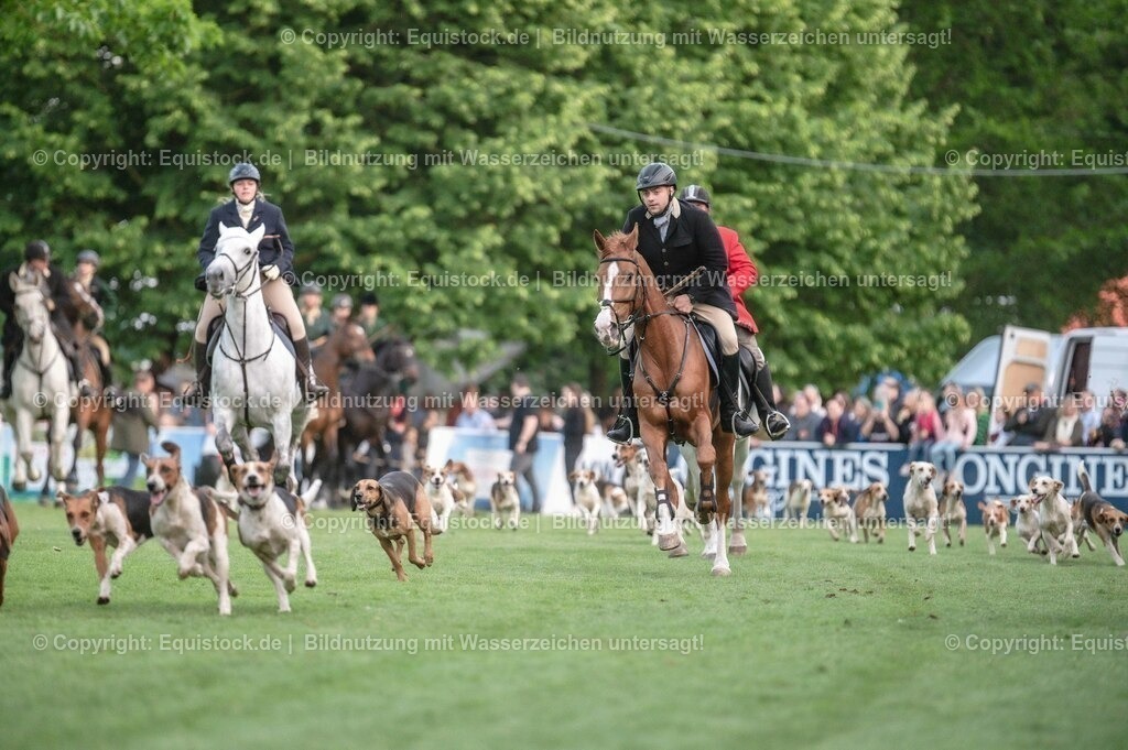 20230526_Pferdenacht_0520 | equistock