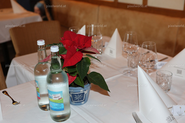 Martini Gansl Essen mit Otto Hoffmann | Bildershop von pixelworld.at - Realisiert mit Pictrs.com