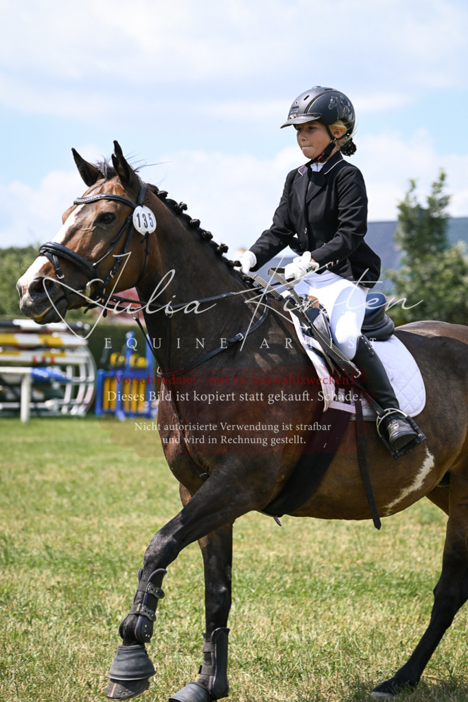 DSC_9249 | Pferde- und Turnierfotografie in Westsachsen. Pferdeportraits, Auftragszeichnungen und intuitive Kunst.