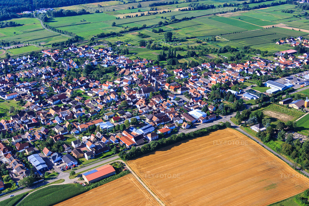 Luftbild: Dorfübersicht aus Norden in Steinfeld im Bundesland Rheinland-Pfalz in Deutschland. Foto: IMG_092540.jpg vom 01.08.2016 durch Werner Riehm/FLY-FOTO.de
