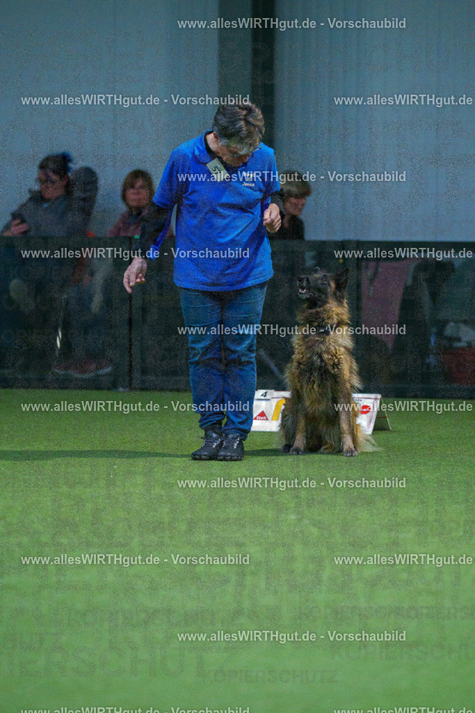 7R502547 | Professionelle Tierfotografie in Mönchengladbach von Daniel Wirth (allesWIRTHgut). Liebevolle & natürliche Bilder von Hunden & Katzen für unvergessliche Erinnerungen.