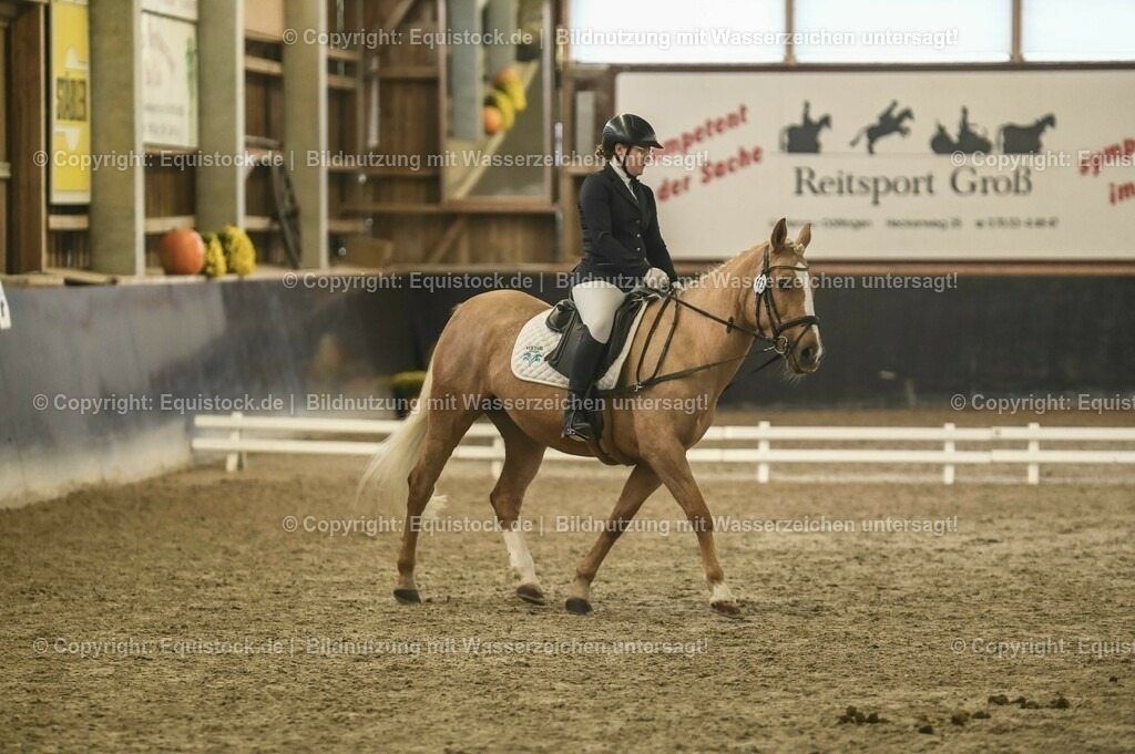 20231029_02_Reiter-WB_Schritt-Trab-Galopp_Abteilung-01_0038 | Foto: Thomas Hartig