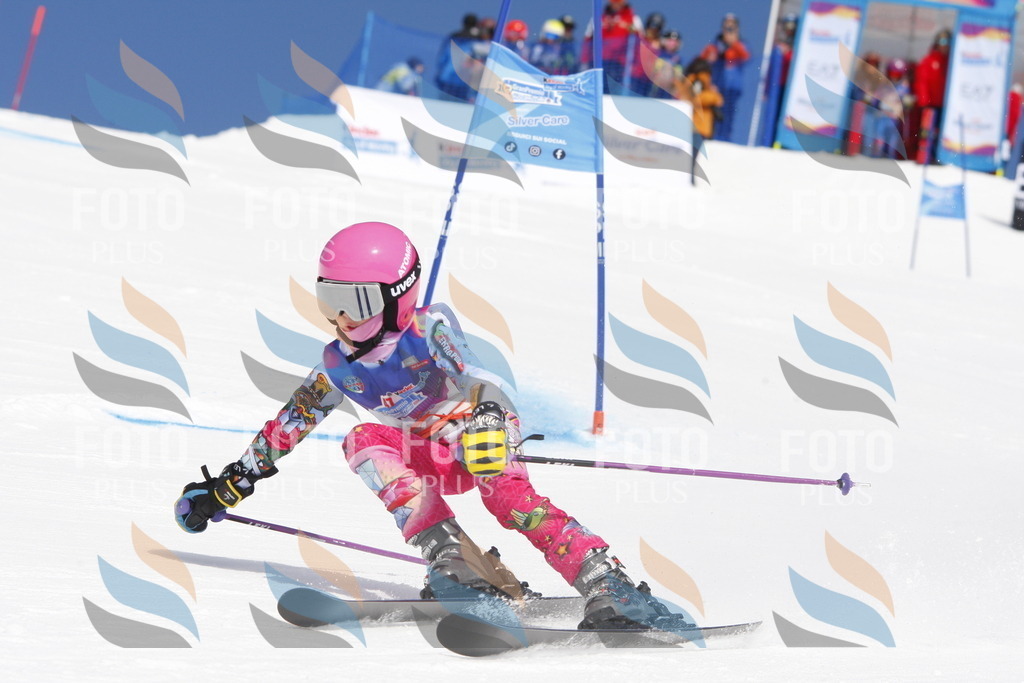 _W1G0938 | holidayphoto