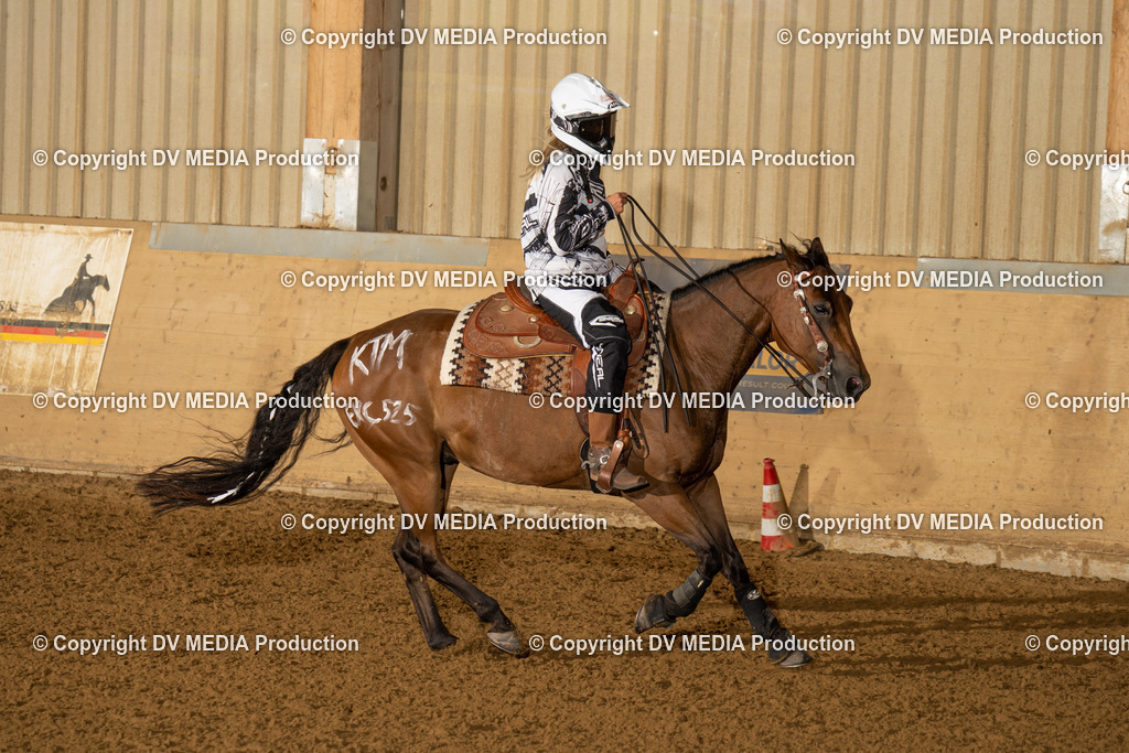 LAU01151 | dv-media-shop - Realisiert mit Pictrs.com