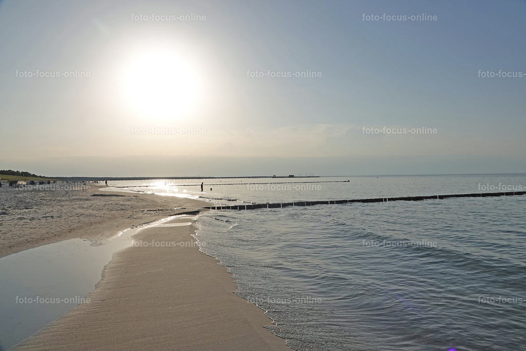 North Beach, Darß | foto-focus-online