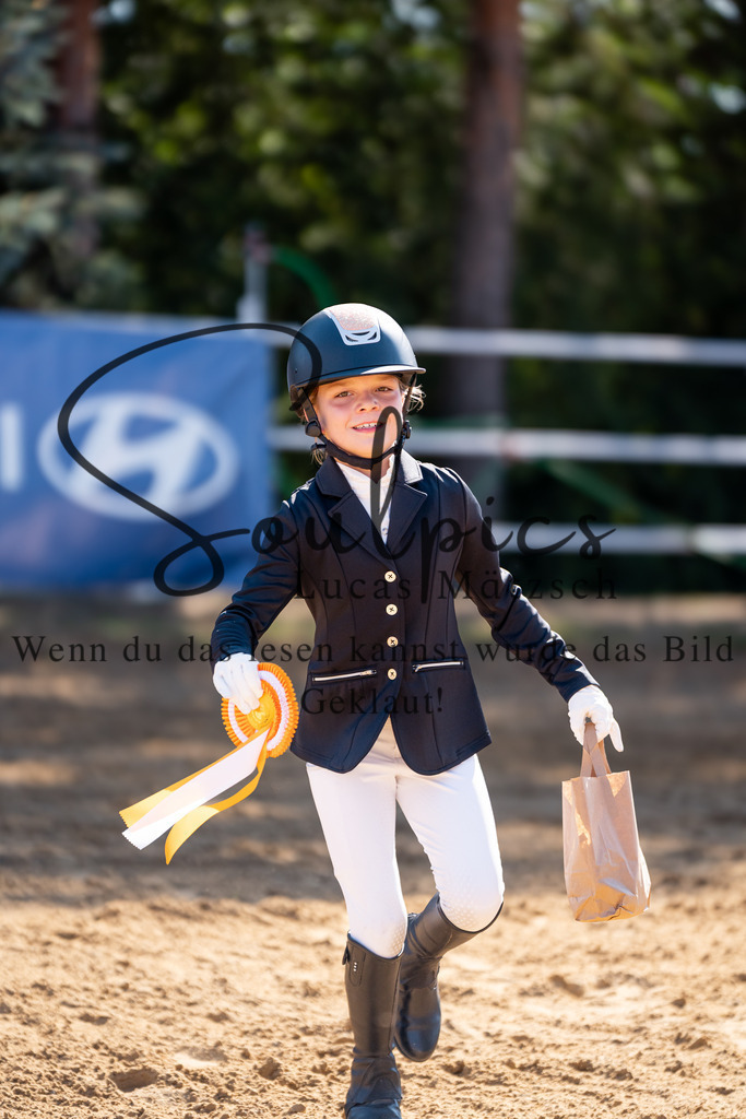 A7V02465 | Pferdefotograf