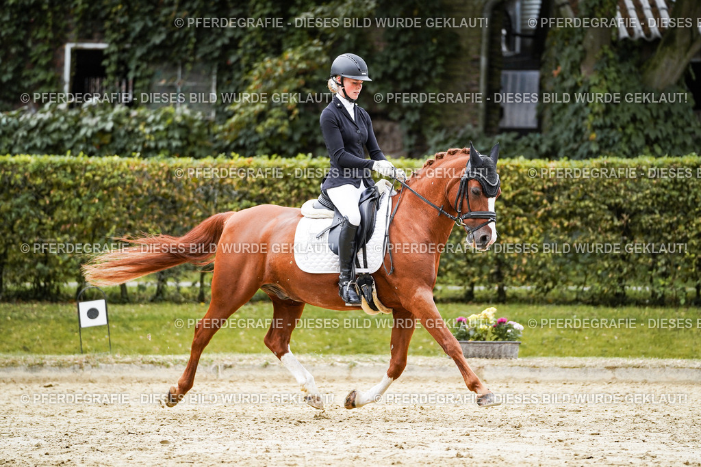 DSC08797 | Pferdegrafie