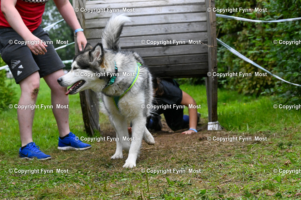 DSC_2462 | Hallo und herzlich Willkommen auf meiner Shop-Seite Fynn Most.

Ich wünsche Dir viel Spaß beim stöbern durch die Bilder, wenn Du Fragen hast oder Bilder vermisst, kannst du mir gerne eine Nachricht schreiben. - Realisiert mit Pictrs.com