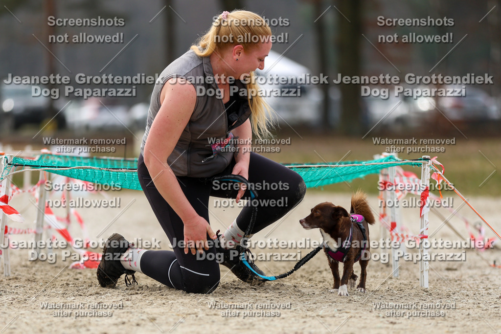 Dog Paparazzi - Strongdog North Mrz26-5699 | Dog Paparazzi Jeanette Grottendiek Fotografie & Videografie - Realisiert mit Pictrs.com