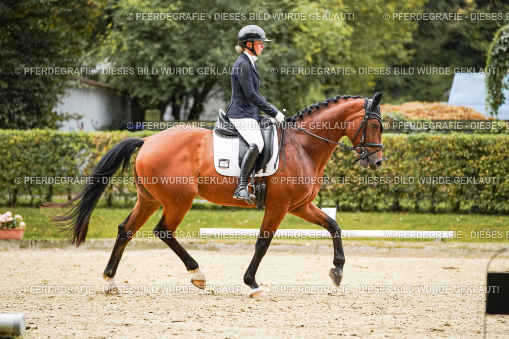 DSC07268 | Pferdegrafie