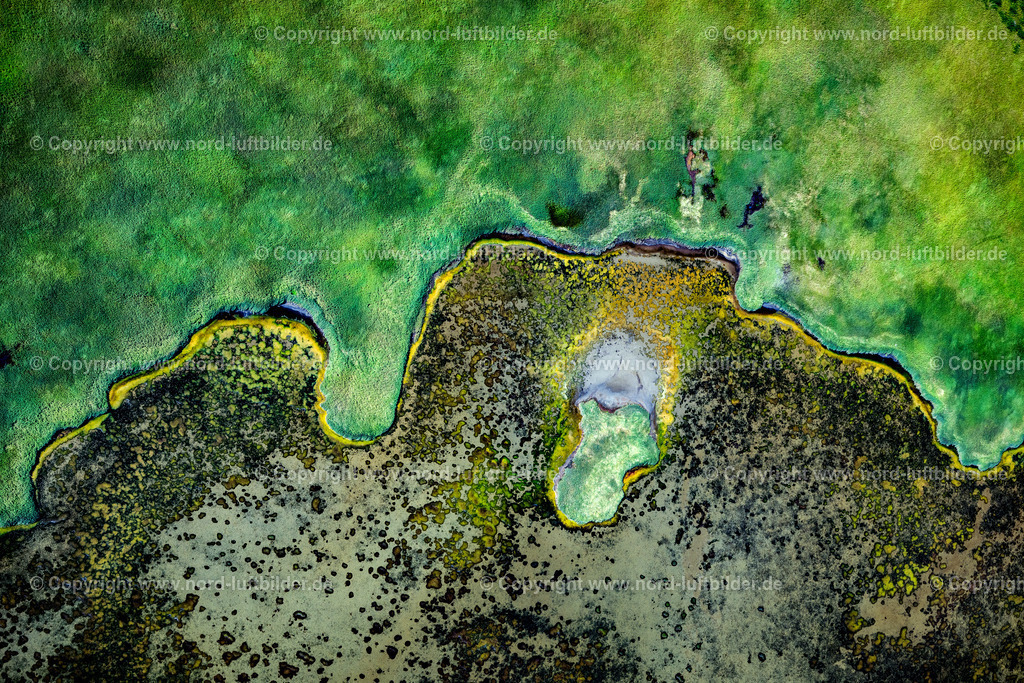 Sylt_Rantum_Rantumbecken_Salzwiesen_ELS_97363130825 | SYLT 13.08.2025 Grasflächen- Strukturen einer Feld- und Wiesen- Landschaft " Rantumbecken " in Sylt Nordsee - Insel im Bundesland Schleswig-Holstein, Deutschland. // Grass area structures of a salt marsh landscape " Rantumbecken " in Sylt North Sea Island in the state Schleswig-Holstein, Germany. Foto: Martin Elsen