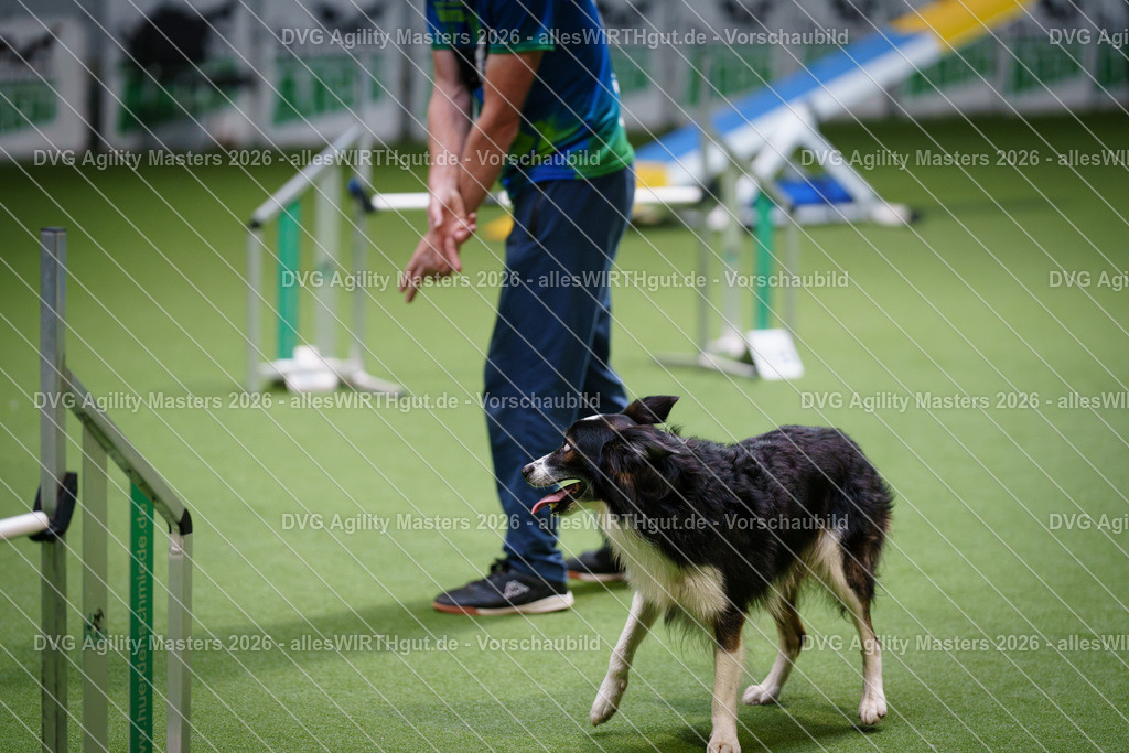 allesWIRTHgut_Tierfotografie-DVG_Agility_Masters_2026-15_07-7R502059 | Professionelle Tierfotografie in Mönchengladbach von Daniel Wirth (allesWIRTHgut). Liebevolle & natürliche Bilder von Hunden & Katzen für unvergessliche Erinnerungen.