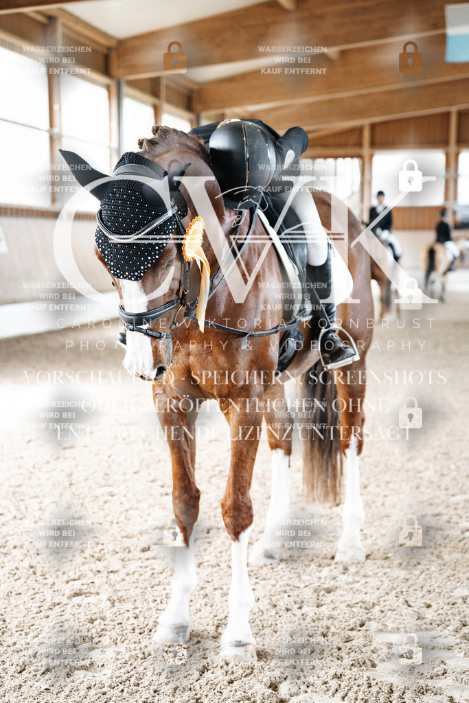 CK703322 | Turnierfotografie Pferdefotografie Trier Rheinland-Pfalz Pferdesport Reitsport Tierfotografie Sportfotografie Pferdevideo Pferdevideografie Equestrianvideography equestrianphotography  - Realisiert mit Pictrs.com