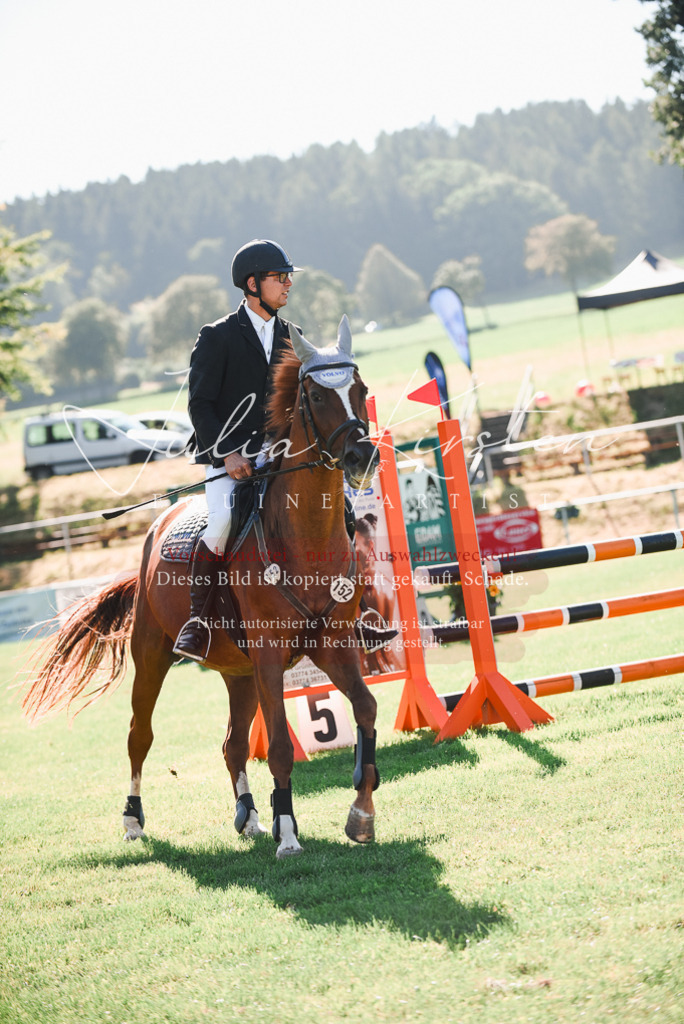 DSC_2411 | Pferde- und Turnierfotografie in Westsachsen. Pferdeportraits, Auftragszeichnungen und intuitive Kunst.