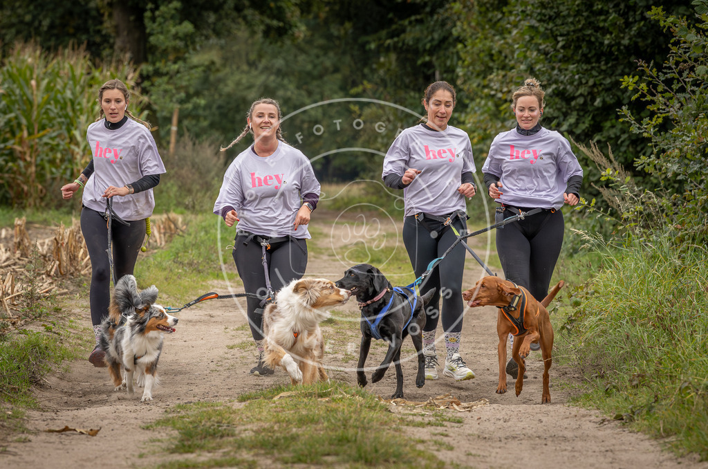 Pfotenfotografie_DV3A7118 | Hundefotografie, Tierfotograf, Pfotenfotografie, Fotoshooting Hund, Hunde Portrait, Hundesport, Hundeportraits, Heideshooting, Hunde, Sportfotograf, Hundefotograf, Turnierhundsport, THS,  - Realisiert mit Pictrs.com