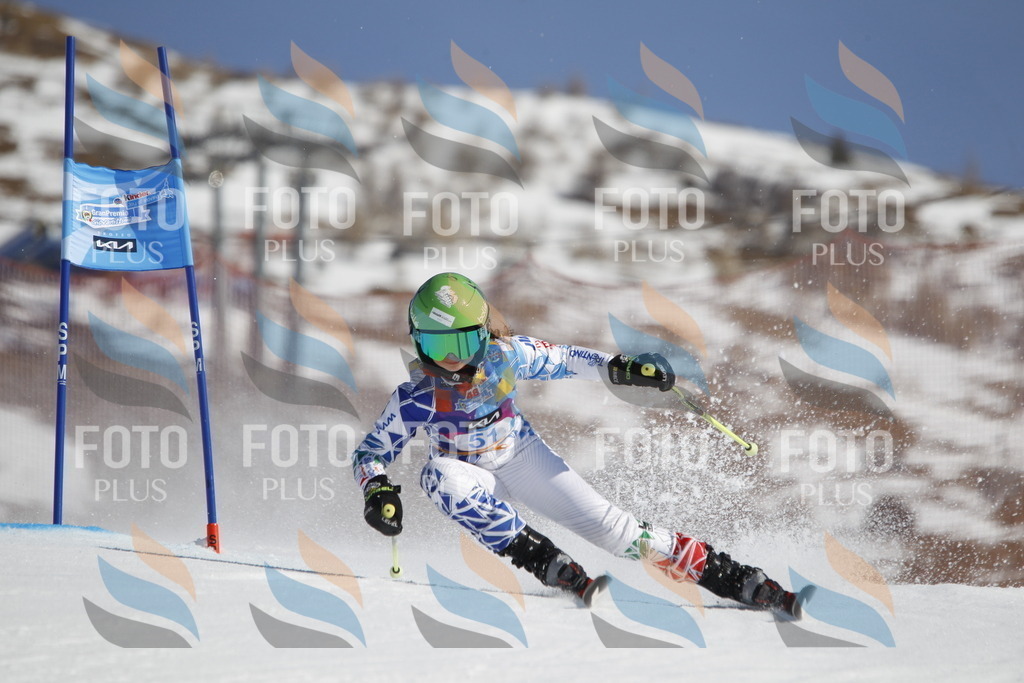 _U3G9416 | holidayphoto