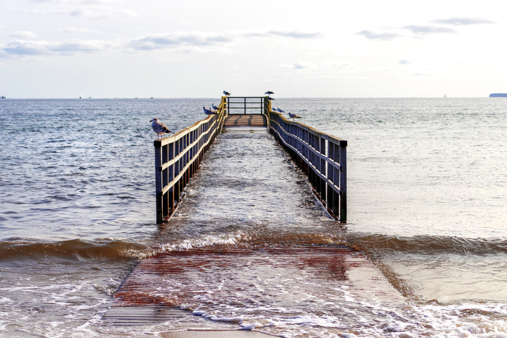Wandbild: Seebrücke bei Hochwasser in Eckernförde | Dieses Wandbild im Querformat zeigt eine Seebrücke am Strand in Eckernförde bei Hochwasser. Auf dem Geländer sitzen einige Möwen.  - Realisiert mit Pictrs.com