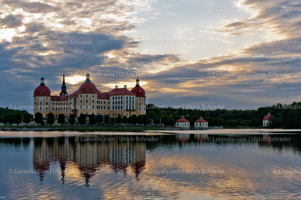 100491-3397 - Moritzburg bei Dresden | Stockfoto und Bilderpool mit Bildmaterial aus Deutschland, dem Harz, Halberstadt, Quedlinburg, Wernigerode und weltweit. Qualitativ hochwertige und professionelle Fotos anschauen und kaufen. - Realisiert mit Pictrs.com