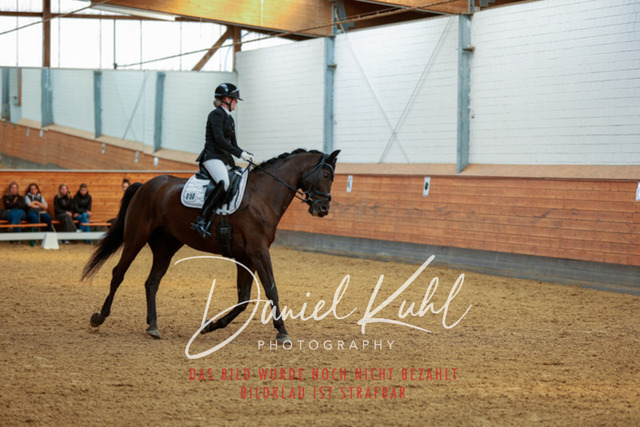 _62_4478 | Turniersportfotografie; Pferdefotografie; Dressurfotografie