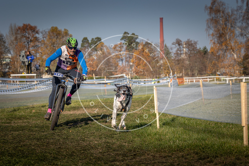 CaniXpix_0L8A6401 | Hundefotografie, Tierfotograf, Pfotenfotografie, Fotoshooting Hund, Hunde Portrait, Hundesport, Hundeportraits, Heideshooting, Hunde, Sportfotograf, Hundefotograf, Turnierhundsport, THS,  - Realisiert mit Pictrs.com