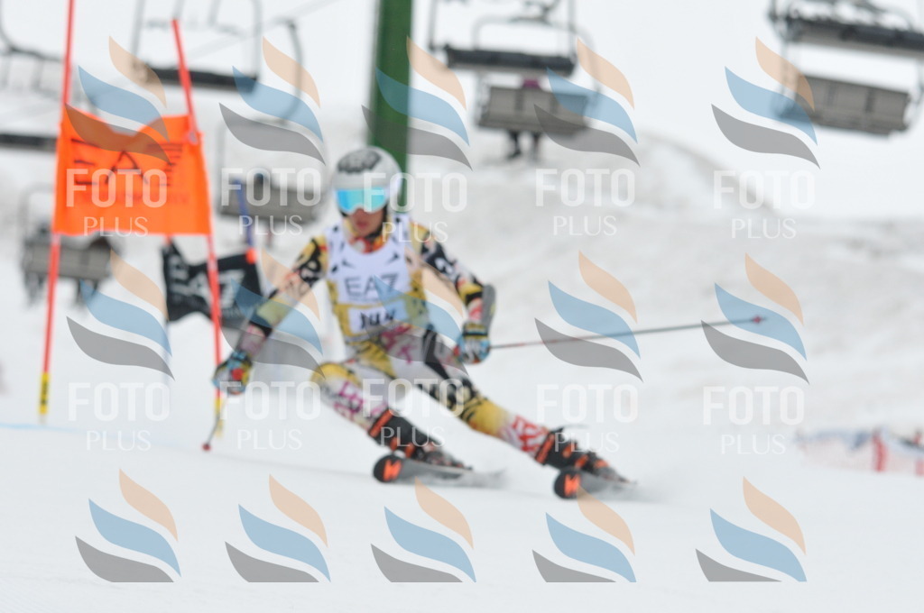 DSC_8915 | holidayphoto