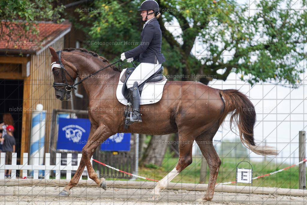 20230826-FAH05564 | Forstinning, 2023, Dressurturnier, Turniersportbilder, Turnierfotografen Bayern, Fotoagentur Herrmann, Reitsportfotografie, Turnierbilder