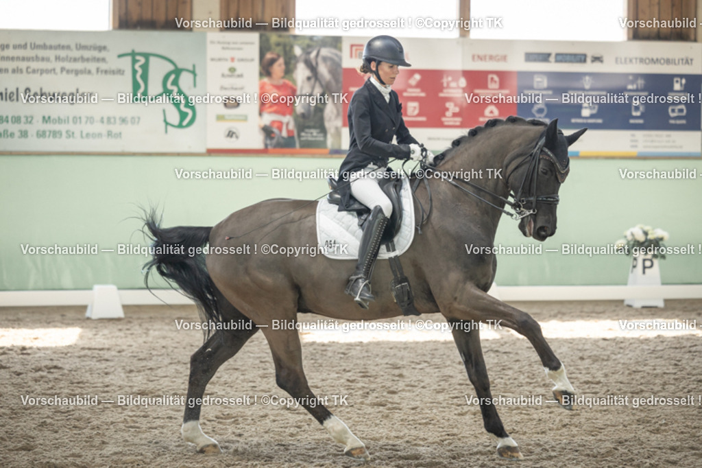 _D5A2199 | Emotionale Pferde- & People-Fotografie rund um Heidelberg, Leimen & Umgebung. Natürliche Fotos von Pferd, Mensch & Familie. Jetzt Termin sichern!