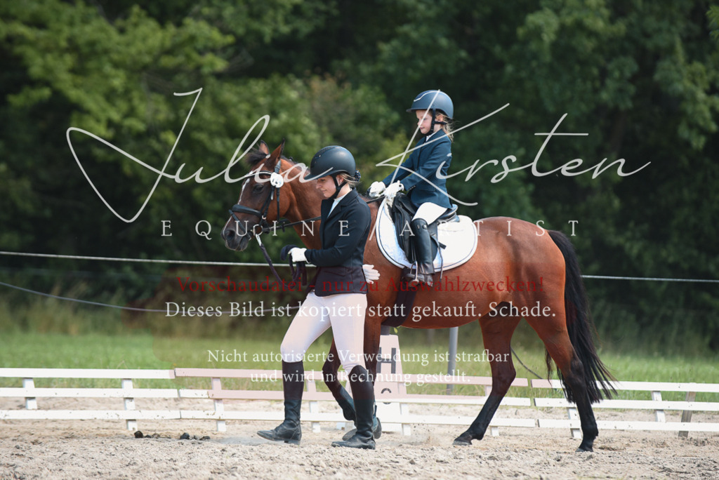 DSC_2011 | Pferde- und Turnierfotografie in Westsachsen. Pferdeportraits, Auftragszeichnungen und intuitive Kunst.