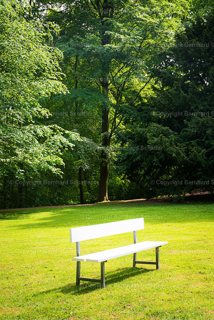  Holzbank am Waldrand | Eine weiße Holzbank steht auf einer Rasenfläche am Waldrand. - Realisiert mit Pictrs.com