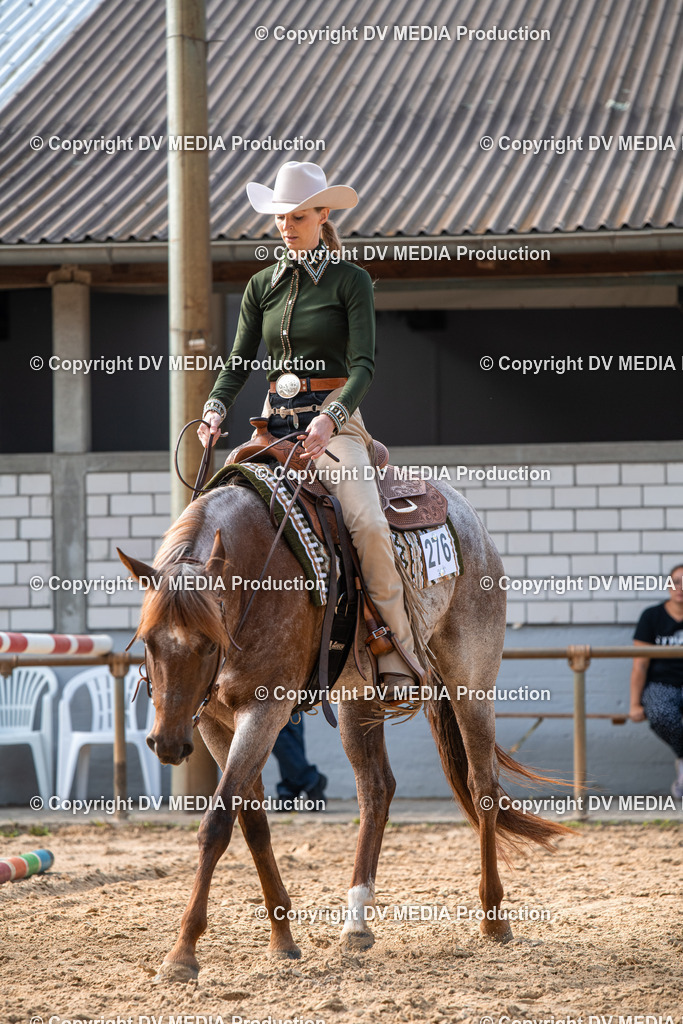 EWP_5730 | dv-media-shop - Realisiert mit Pictrs.com