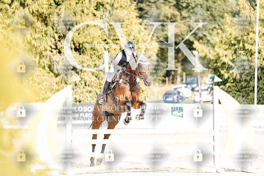 CK903038 | Turnierfotografie Pferdefotografie Trier Rheinland-Pfalz Pferdesport Reitsport Tierfotografie Sportfotografie Pferdevideo Pferdevideografie Equestrianvideography equestrianphotography  - Realisiert mit Pictrs.com